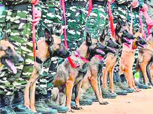 సైబర్‌ నేరగాళ్ల ‘డబుల్‌ టోకరా’! 