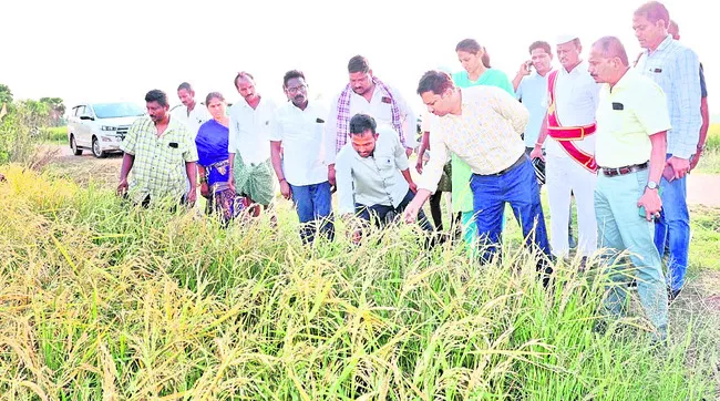 నష్టప