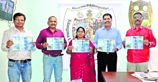 ఎస్సె