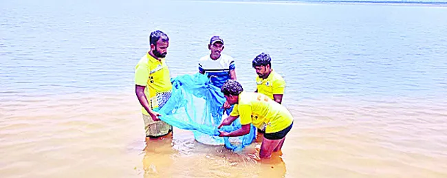 సత్తిగూడ జలాశయంలోకి 54వేల రొయ్యపిల్లలు