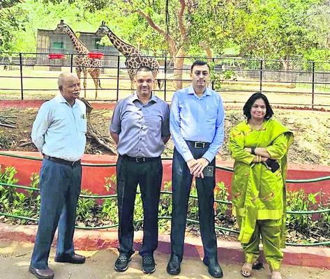 ‘కృష్ణ’ను కుంకీ శిక్షణకు పంపించండి