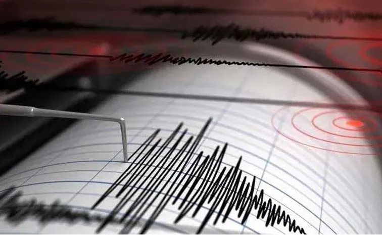4 6 Magnitude Earthquake Hits Pakistan Second Quake In Three Days