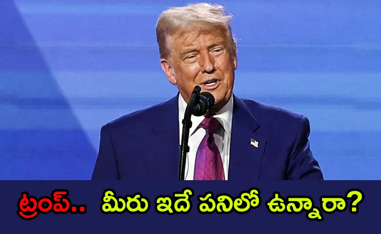 Trump Comments For India Analysts think US stance complicates matters