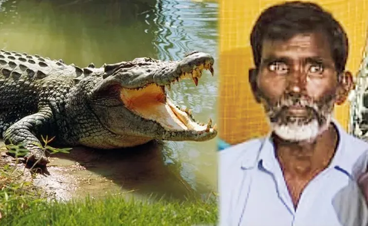Farmer missing after crocodile drags him into water in Narayanpet