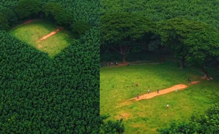 Kerala's hidden cricket stadium is unreal beauty Goes Viral On Social Media