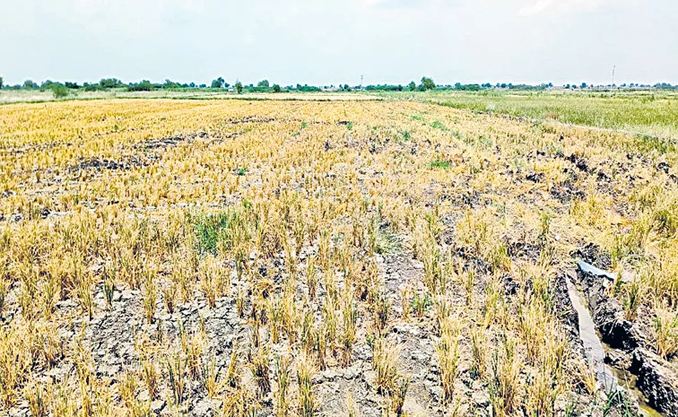 Farmers threatened in the name of setting up solar power plants Nandyal