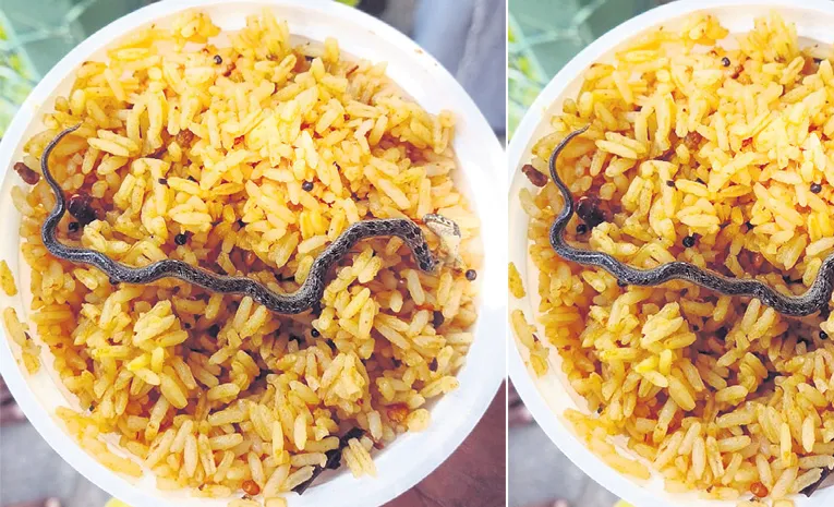 Snake Found in Temple Prasadam