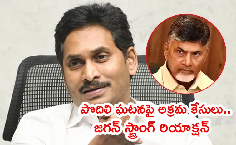 YS Jagan Strong Counter To Chandrababu Over Podili Incident