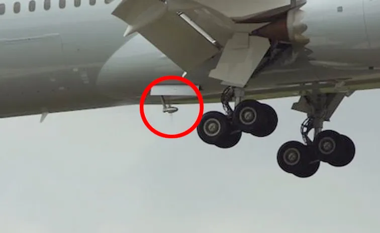Does Rat Hold Key In Plane Incident At Ahmedabad
