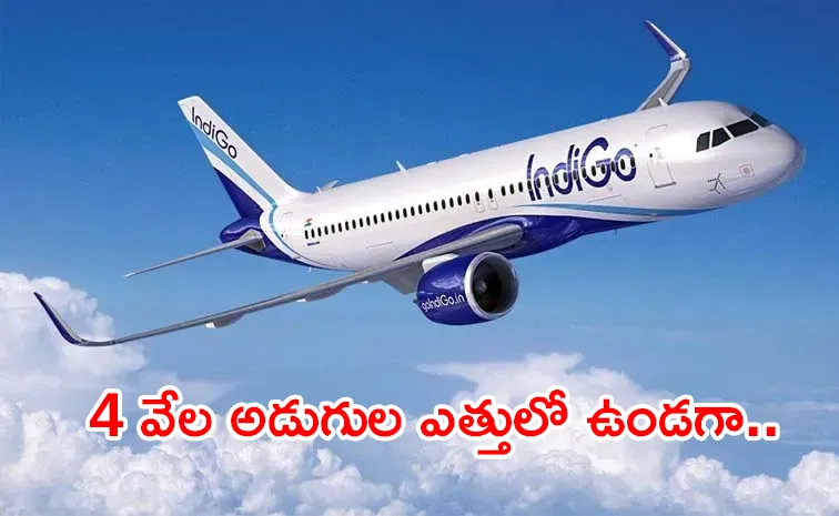 IndiGo Flight Suffers Bird Hit At 4,000 Feet