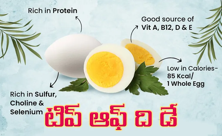 Today tip Are eggs good for people with diabetes