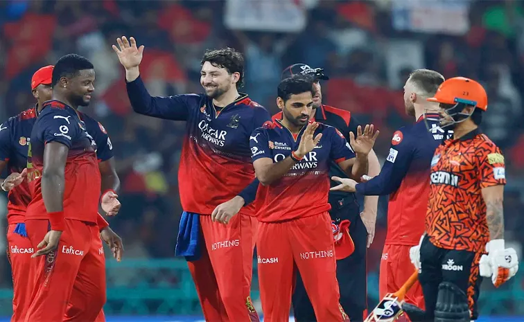 RCB Captain Rajat Patidar Gives Important Update On Tim Davids Availability
