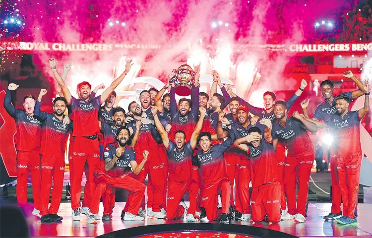 Royal Challengers Bangalore beat Punjab Kings by 6 runs in IPL final