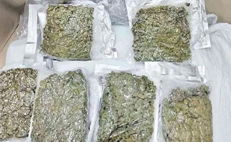 Shadnagar: Excise Constable Arrested In Marijuana Case