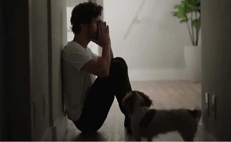 Health Advice: Depression after loss of a pet Tips for coping