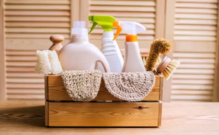 World Environment Day: Eco friendly cleaning products Green Feels