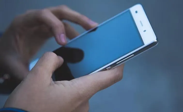 Delhi Woman Plots Husband's Phone Snatching