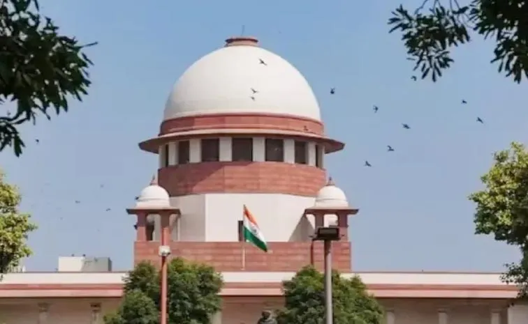 Tirumala Laddu Row: Supreme Court YV Subbareddy Petition July 14th Hearings