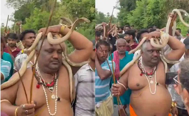 Devotees Carry Snakes During Nag Panchami Fair In Bihar