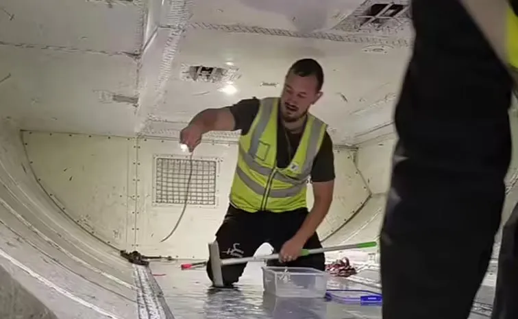 Snake On Plane: Australia Flight Delayed For Two Hours
