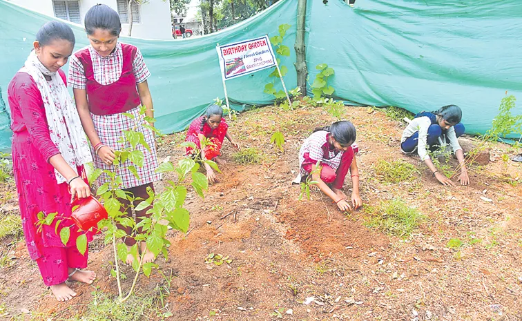 Birthday Garden in Siddipet Govt School full details