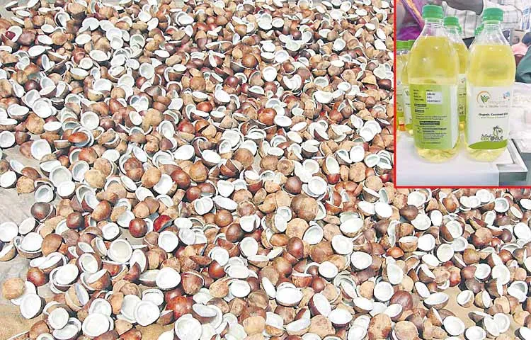 Coconut farmers hopes on GST reduction announcement