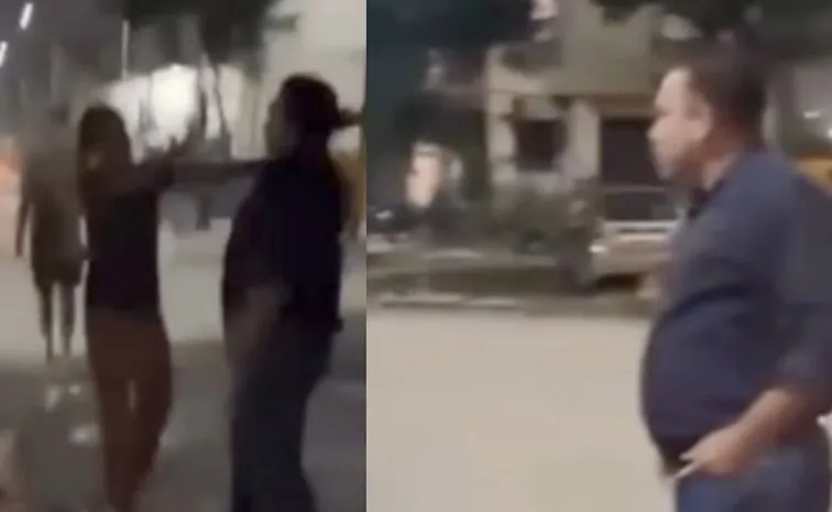Woman Slapped 8 Times In 38 Seconds For Feeding Dogs