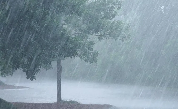 Heavy rains in Kurnool district