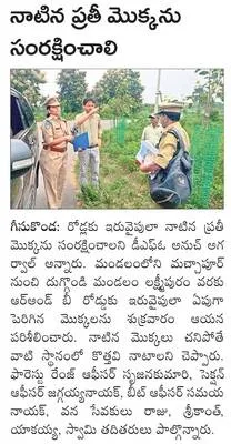 ఎంఎల్