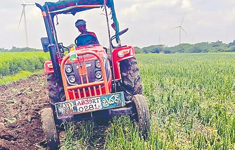 Prices of all major crops have fallen sharply