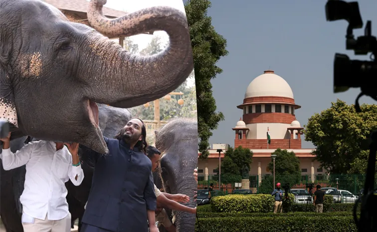 Nothing Wrong It Supreme Court Big relief for Anant Ambani Vantara
