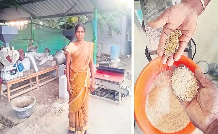 The Benefits of Solar Power Plants for Rice Mills
