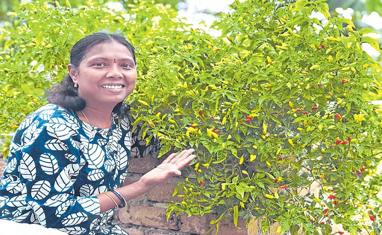 light weight terrace garden Gajawada swaroopa