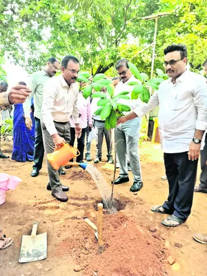 ఏపీఈపీడీసీఎల్లో స్వచ్ఛాంధ్ర