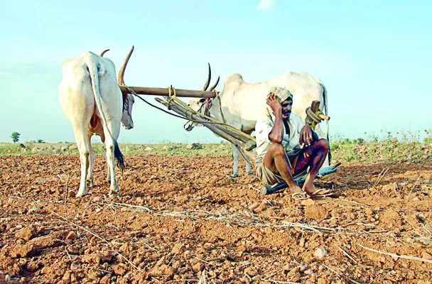 లాగిన్ ఆప్షన్.. కష్టాలు ఓపెన్