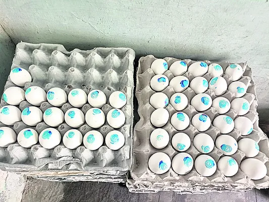 కుళ్ల