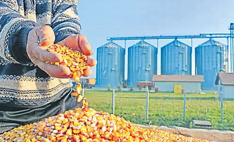 Johnson Choragudi wrote On Food Processing Sector