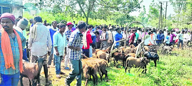 సంతకు
