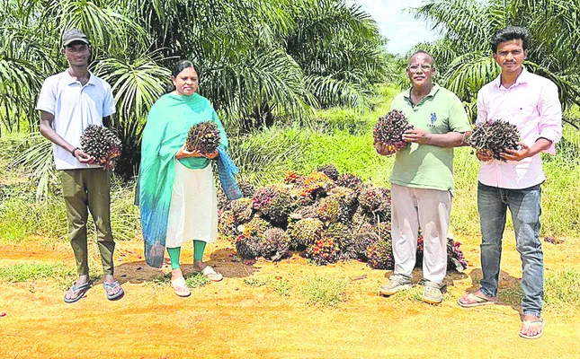 ఆయిల్పామ్ హబ్గా సిద్దిపేట