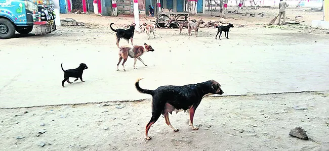 వీధి