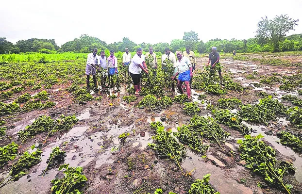 ఆయకట్