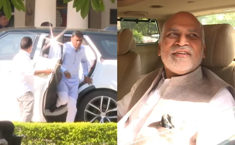 YSRCP MPs Meet Union Minister Piyush Goyal