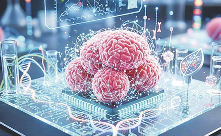 Swiss scientists grow mini-brains to power future computers