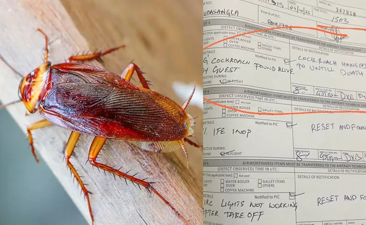 Air India cabin defect log entry goes viral,about Cockroach