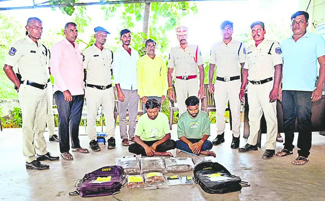 గంజాయి విక్రేతల అరెస్టు