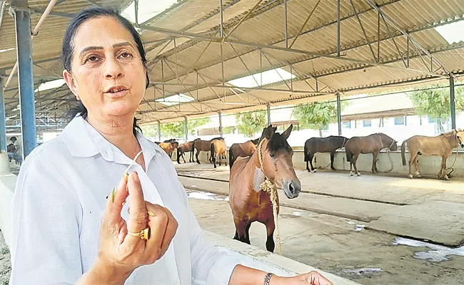 Advanced Liquid Biomass Production Separated From Horse Waste In Tube Method