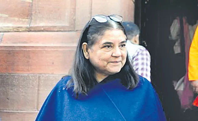 Lok sabha elections 2024: Maneka Gandhi confirms contesting Lok Sabha polls from Sultanpur