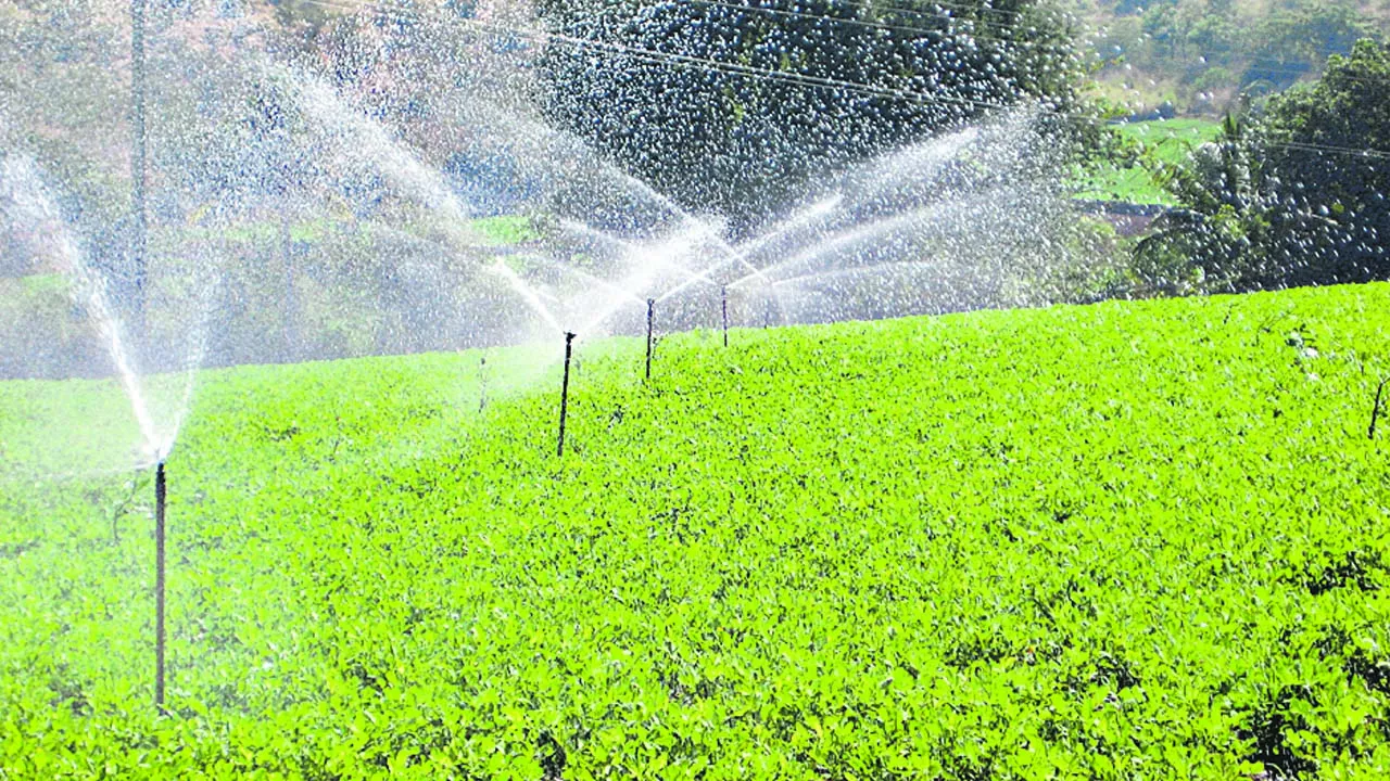 agriculture development in andhra pradesh