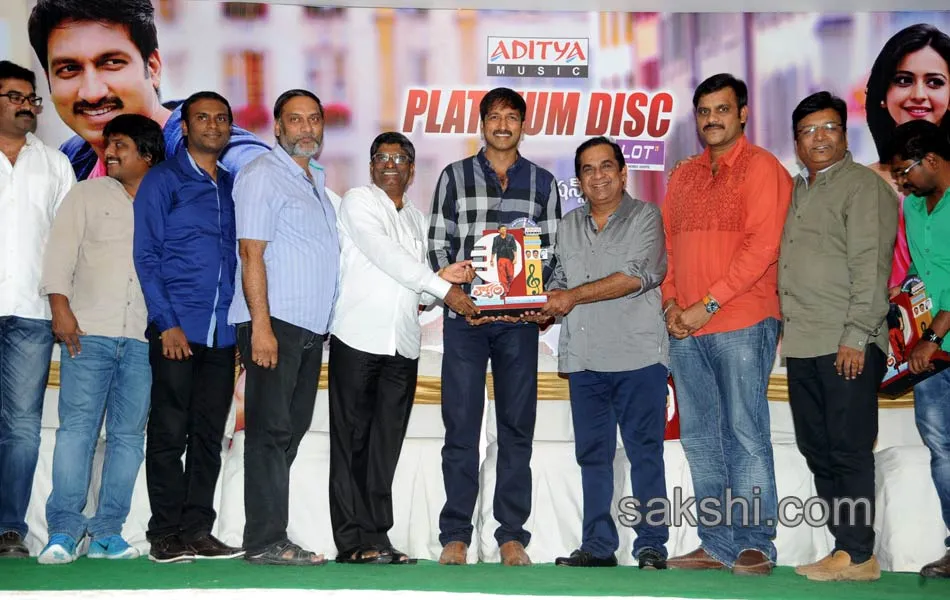 Loukyam Platinum disc function