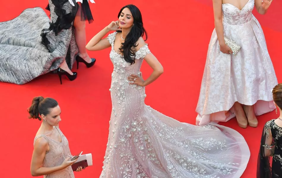 Cannes 2017 Opening Ceremony Red Carpet